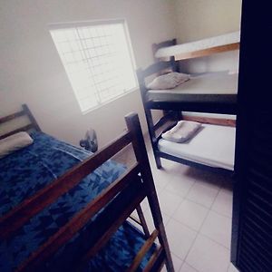 Bunk Bed Mixed Dormitory Room
